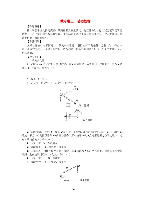 中考物理总复习微专题三动态杠杆试题