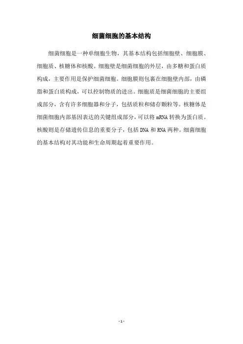 细菌细胞的基本结构