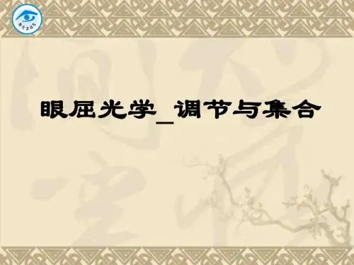 眼屈光学-调节与集合