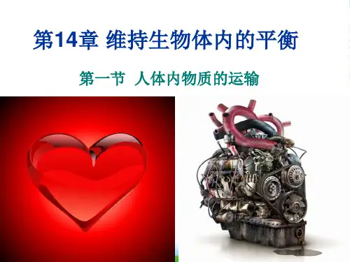 八年级生物上册 第14章第一节第二课时心脏血液循环课件 苏科