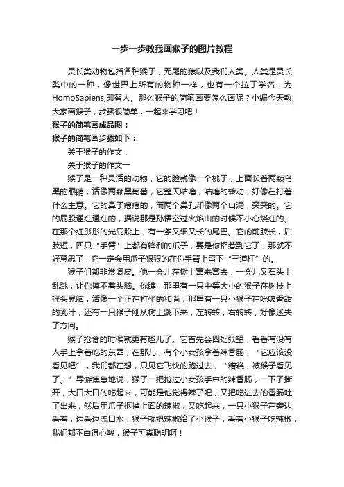 一步一步教我画猴子的图片教程