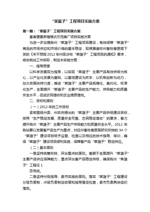 “菜篮子”工程项目实施方案