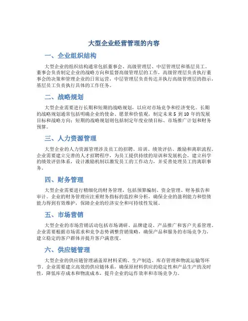 大型企业经营管理的内容