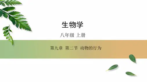 动物的行为-八年级生物上册精选课件(京改版)