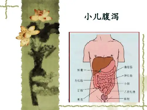《医学小儿腹泻》PPT课件
