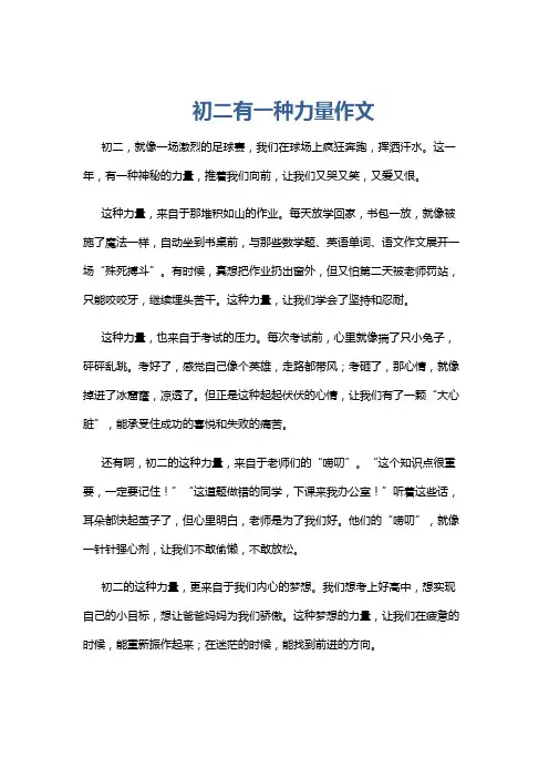 初二有一种力量作文