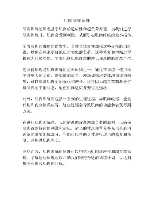 肌肉 训练 原理