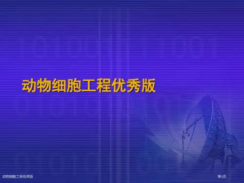 动物细胞工程优秀版