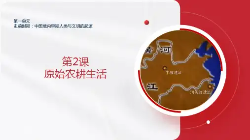 第2课  原始农耕生活(课件)