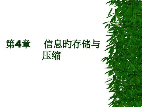 信息的存储与压缩