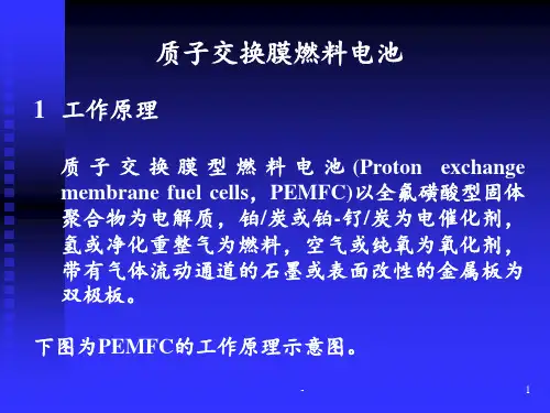 PEMFC——燃料电池PPT课件