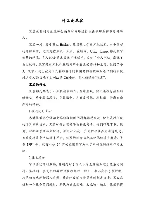 什么是黑客