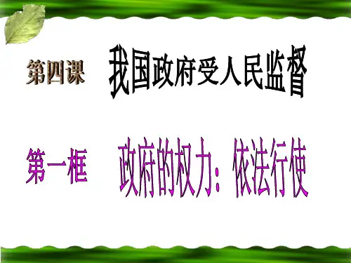 高中思想政治-政府的权力：依法行使