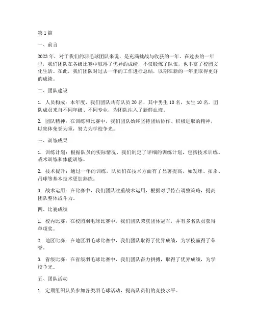 羽毛球团队年度总结(3篇)