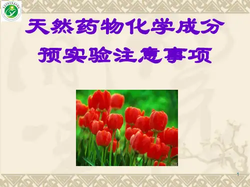 天然药物化学成分预实验注意事项.ppt