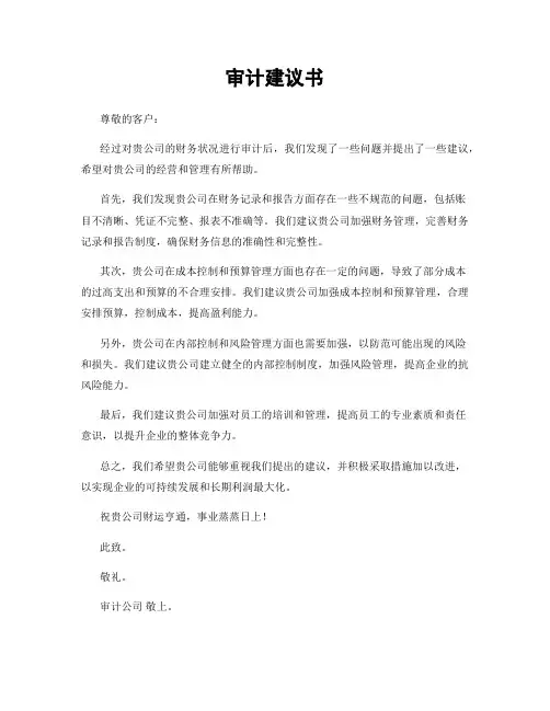审计建议书