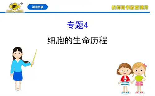 20版生物《高考专题辅导与训练》专题4 细胞的生命历程