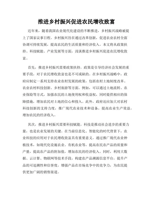推进乡村振兴促进农民增收致富
