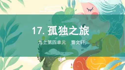 《孤独之旅》ppt课件