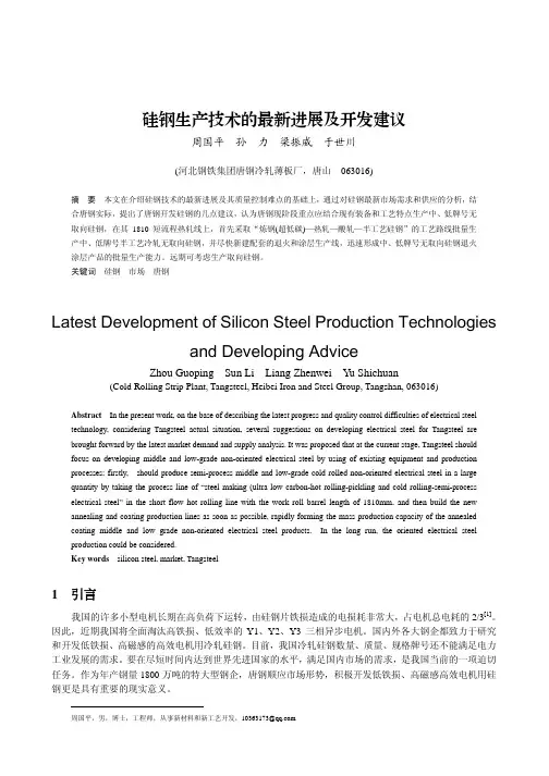 硅钢生产技术的最新进展及开发建议