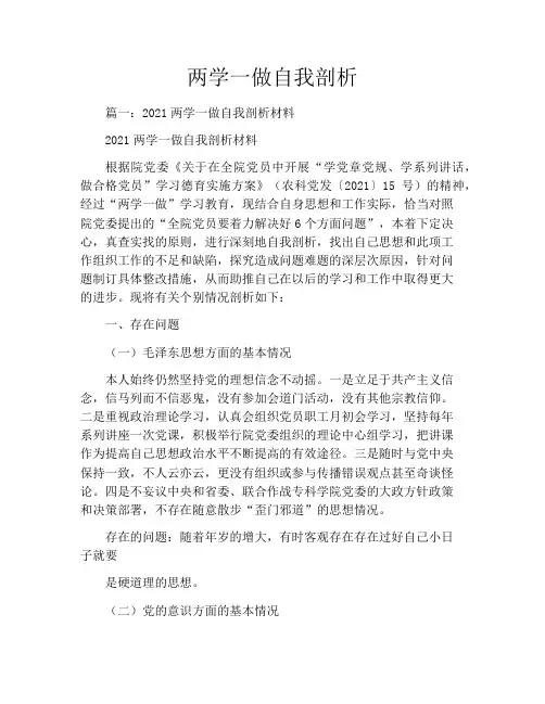 两学一做自我剖析