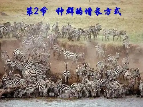 高中生物课件-浙科版高中生物必修三第二节《种群的增