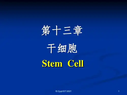 第十三章 干细胞ppt课件