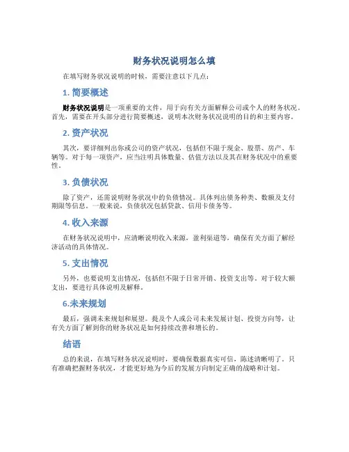 财务状况说明怎么填