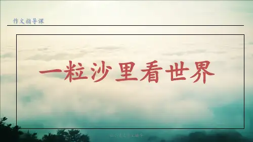以小见大作文辅导 ppt课件