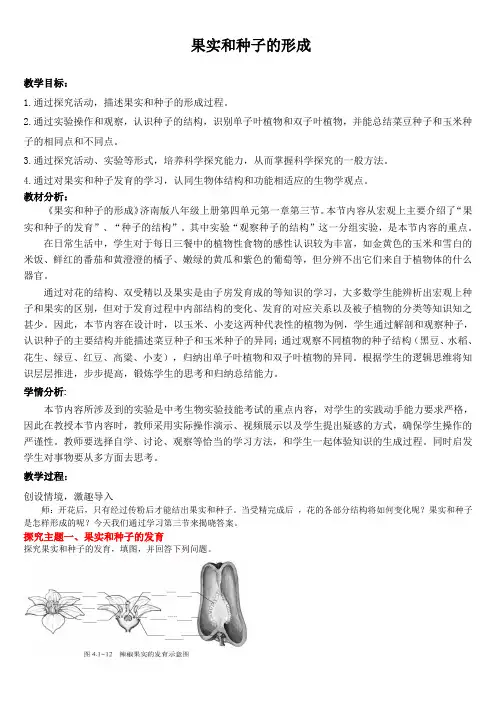 济南版生物七年级上册4.1.3果实和种子的形成(教学设计)