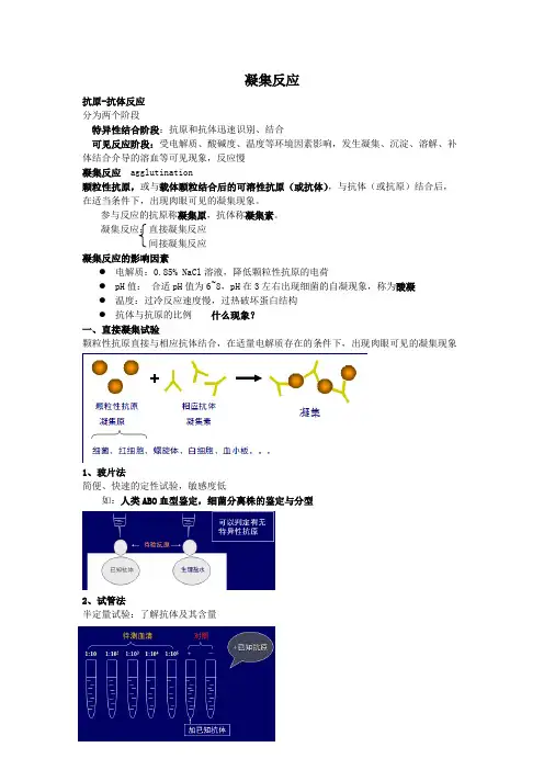 凝集反应