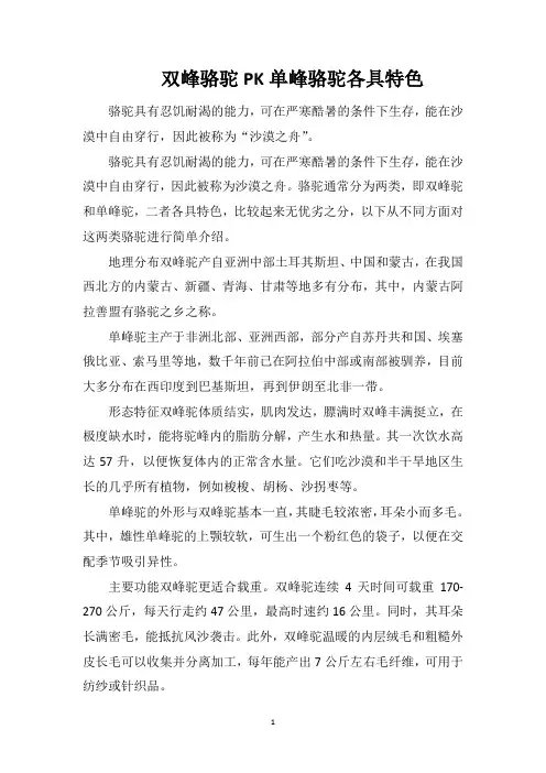 双峰骆驼PK单峰骆驼各具特色