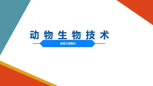 动物基因工程—基因工程概况