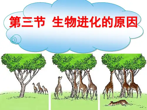 生物进化的原因