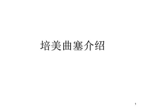 培美曲塞介绍精品PPT课件