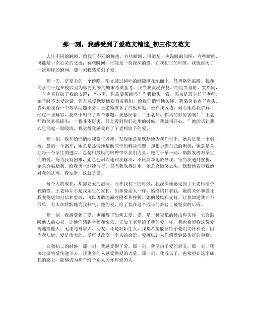 那一刻,我感受到了爱范文精选_初三作文范文