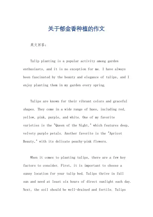关于郁金香种植的作文