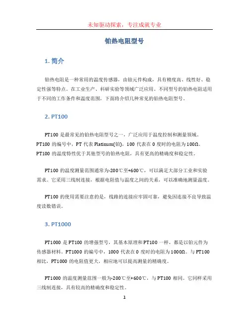 铂热电阻型号 (2)
