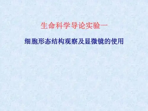 生命科学导论实验