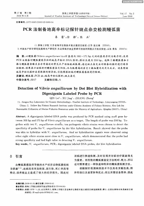 PCR法制备地高辛标记探针斑点杂交检测鳗弧菌