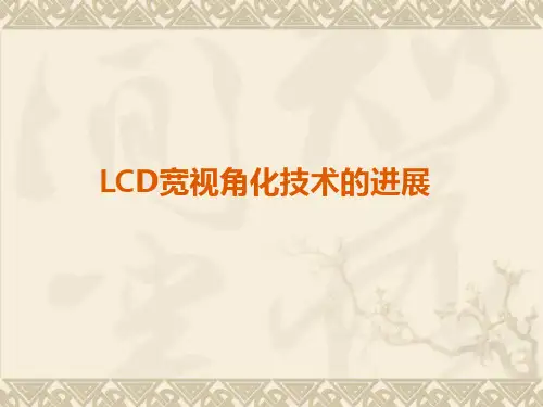 显示与成像技术-第一部显示第三章3液晶广角技术