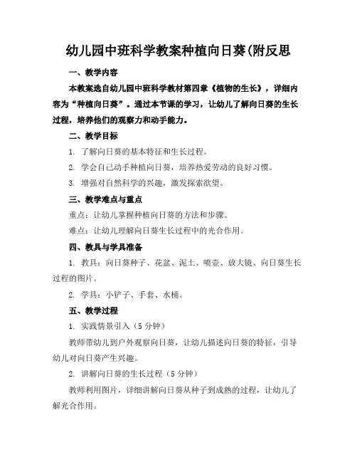 幼儿园中班科学教案种植向日葵(附反思