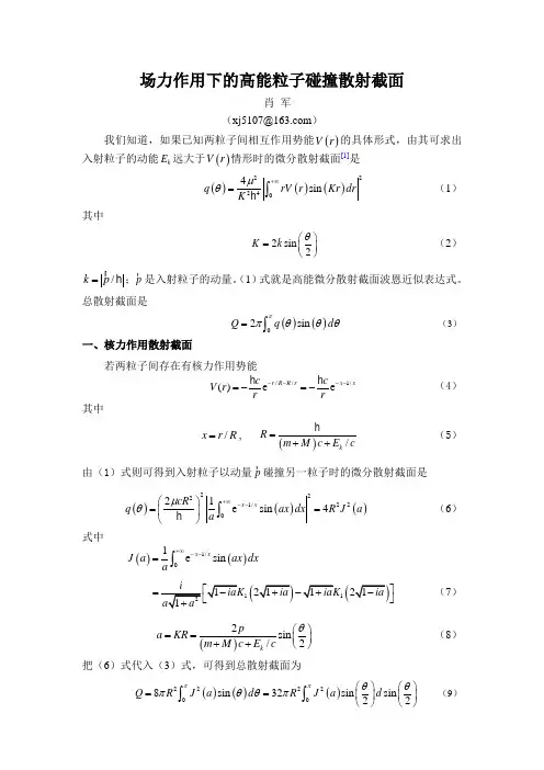 场力作用下的高能粒子碰撞散射截面(精)