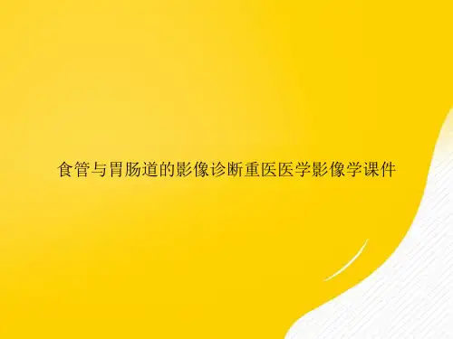 食管与胃肠道的影像诊断重医医学影像学PPT正式版【130页】