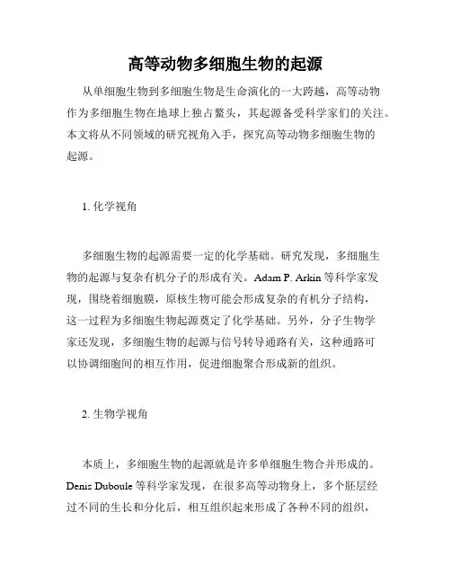 高等动物多细胞生物的起源