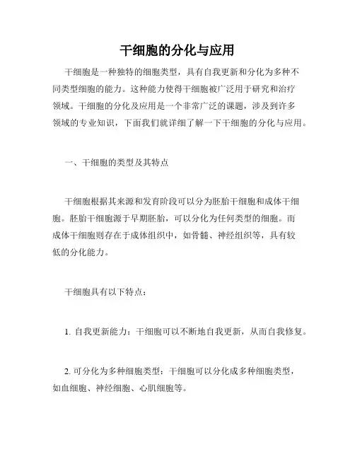干细胞的分化与应用