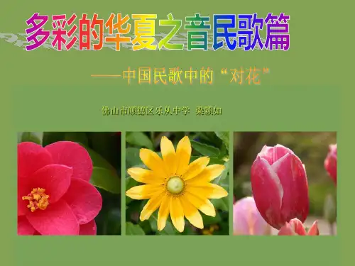 对花咸水歌高中音乐花城版音乐鉴赏课件