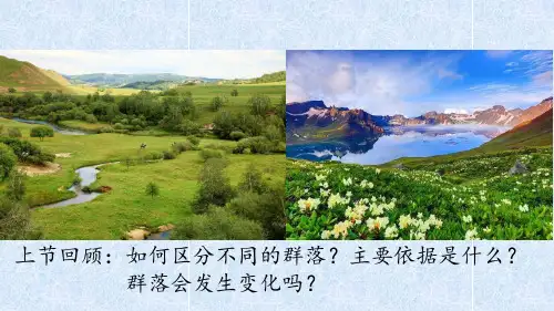 4.4群落的演替-人教版高中生物必修3课件