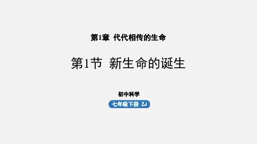 《新生命的诞生》PPT课件