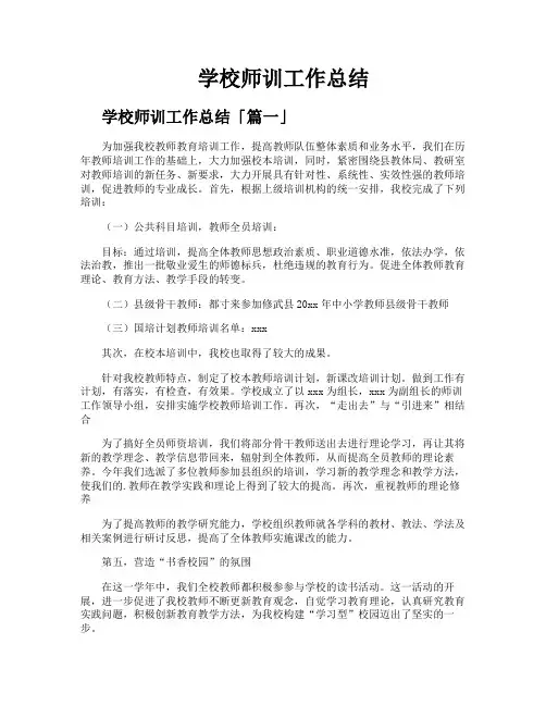 学校师训工作总结